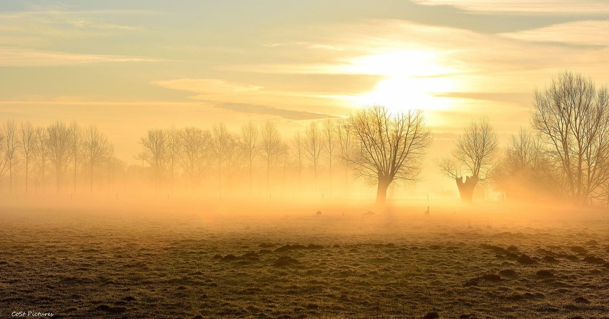 Bijdrage: Ochtendstond heeft goud in de mond | Stad Deinze